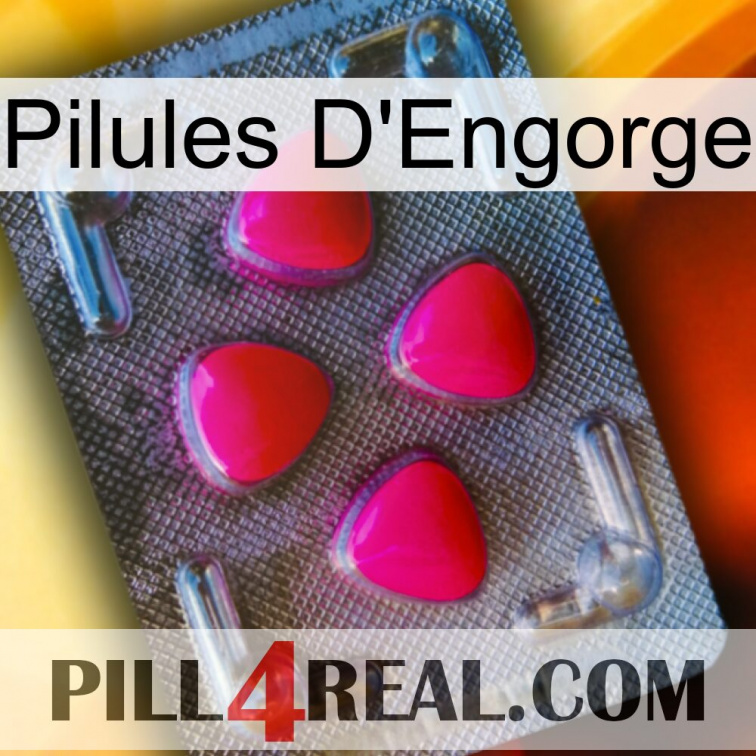 Engorge Pills 13